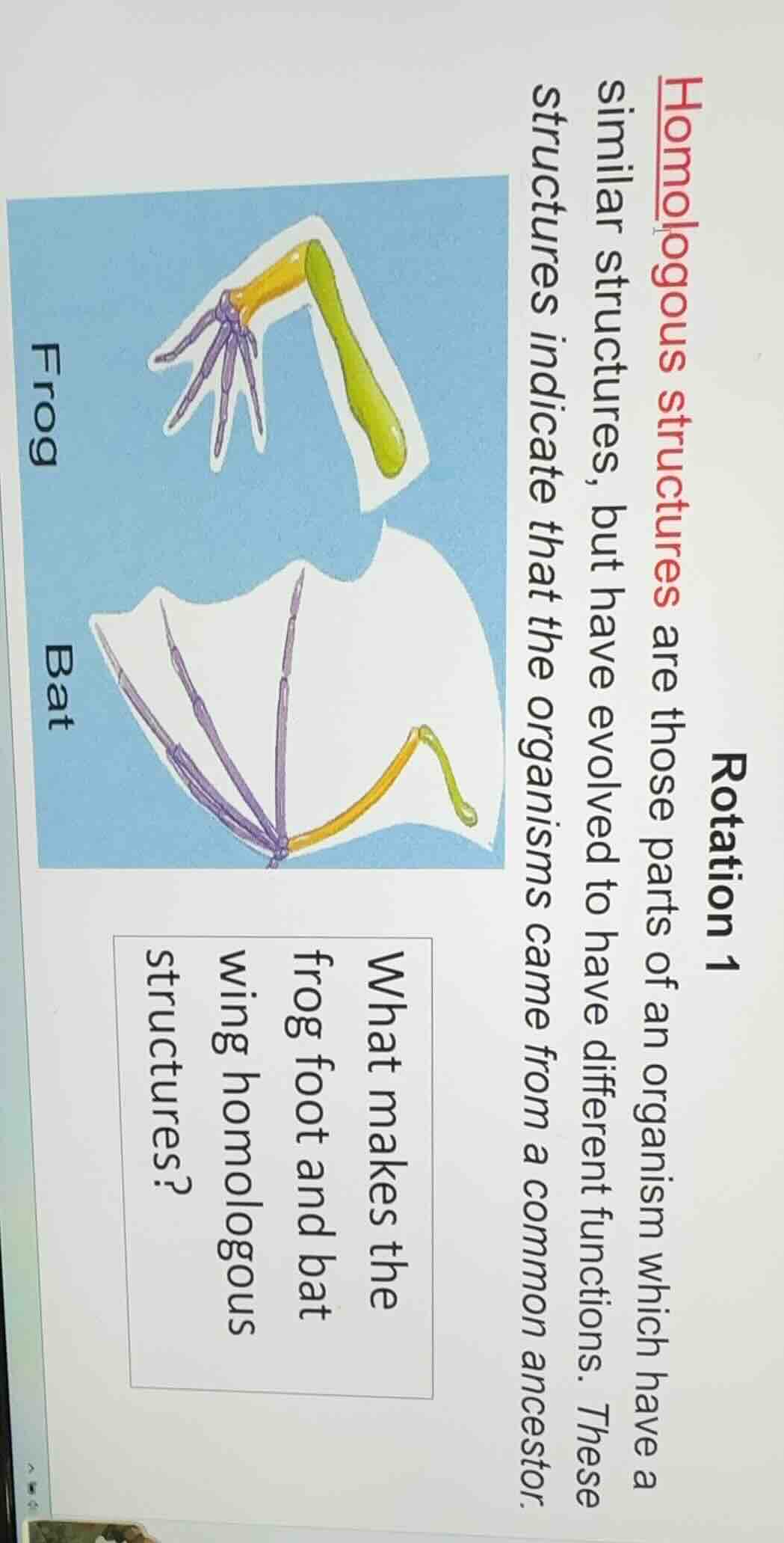 rotation 1 homologous structures are those parts of an organism which h…