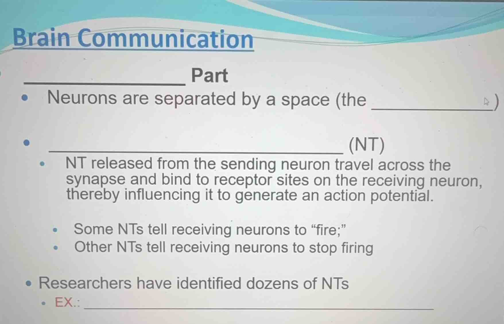 brain communication __________ part - neurons are separated by a space …