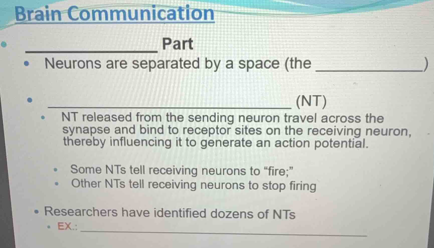 brain communication __________ part - neurons are separated by a space …