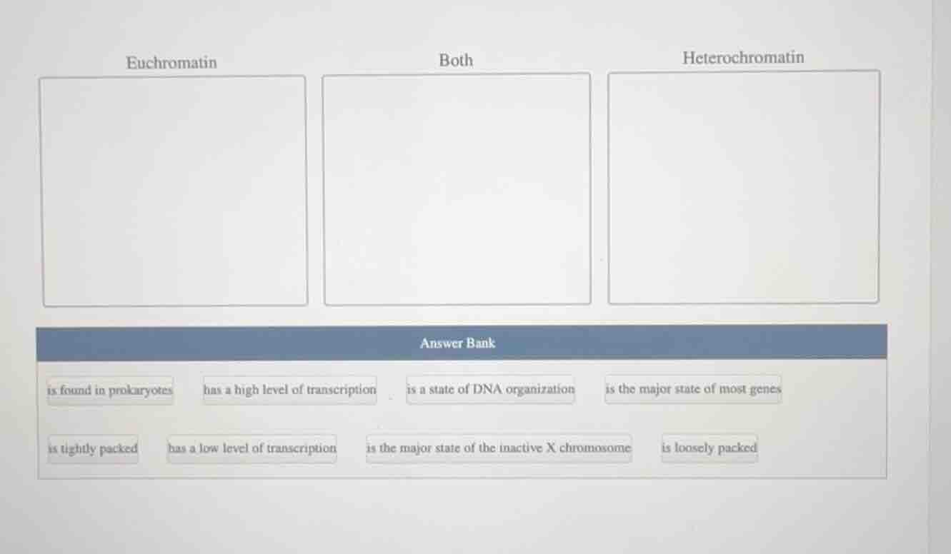 euchromatin both heterochromatin answer bank is found in prokaryotes ha…
