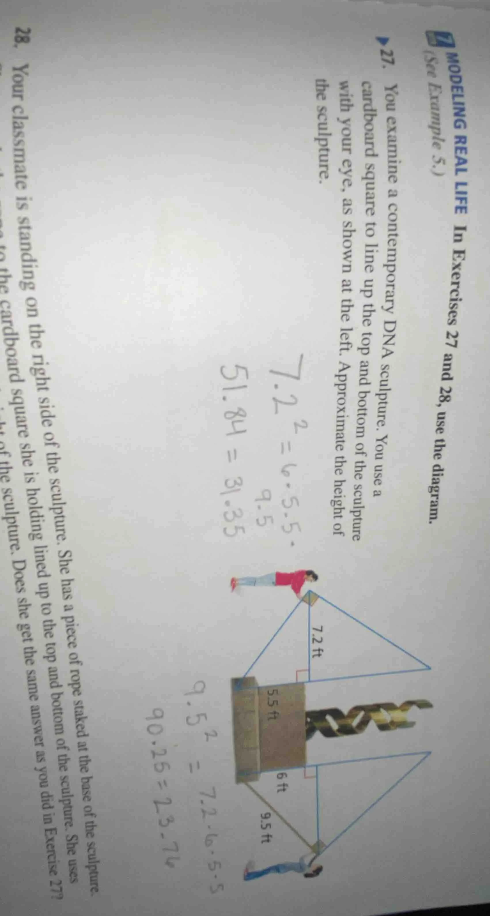 27. you examine a contemporary dna sculpture. you use a cardboard squar…