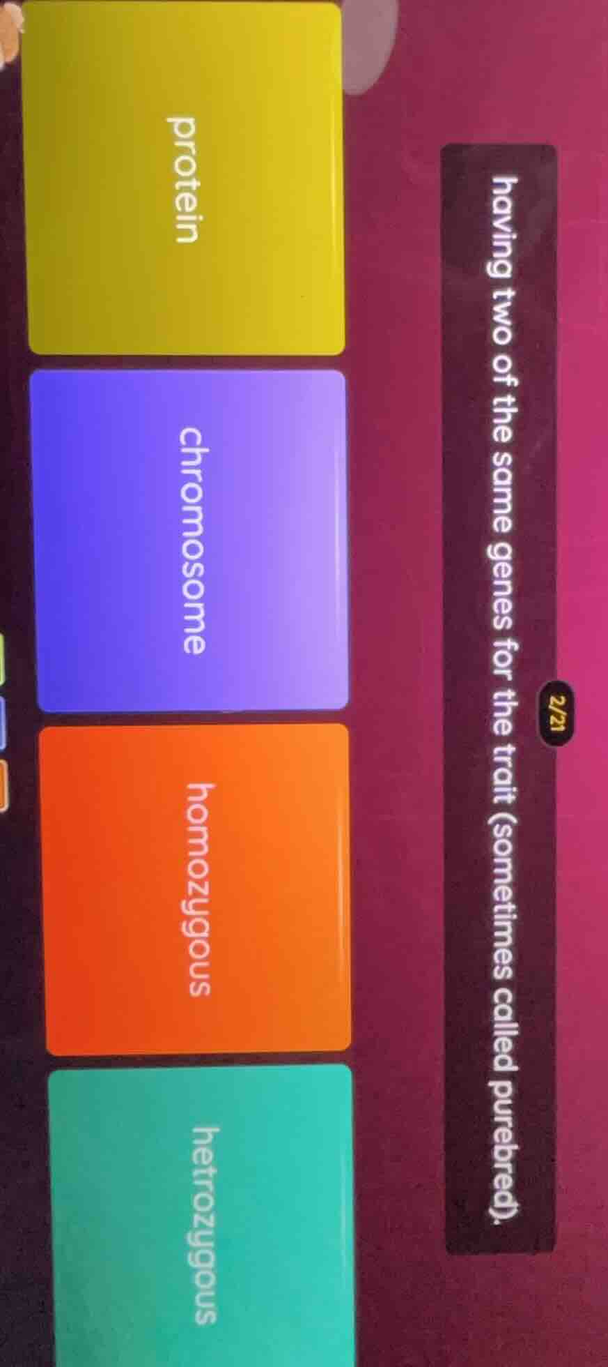 having two of the same genes for the trait (sometimes called purebred) …