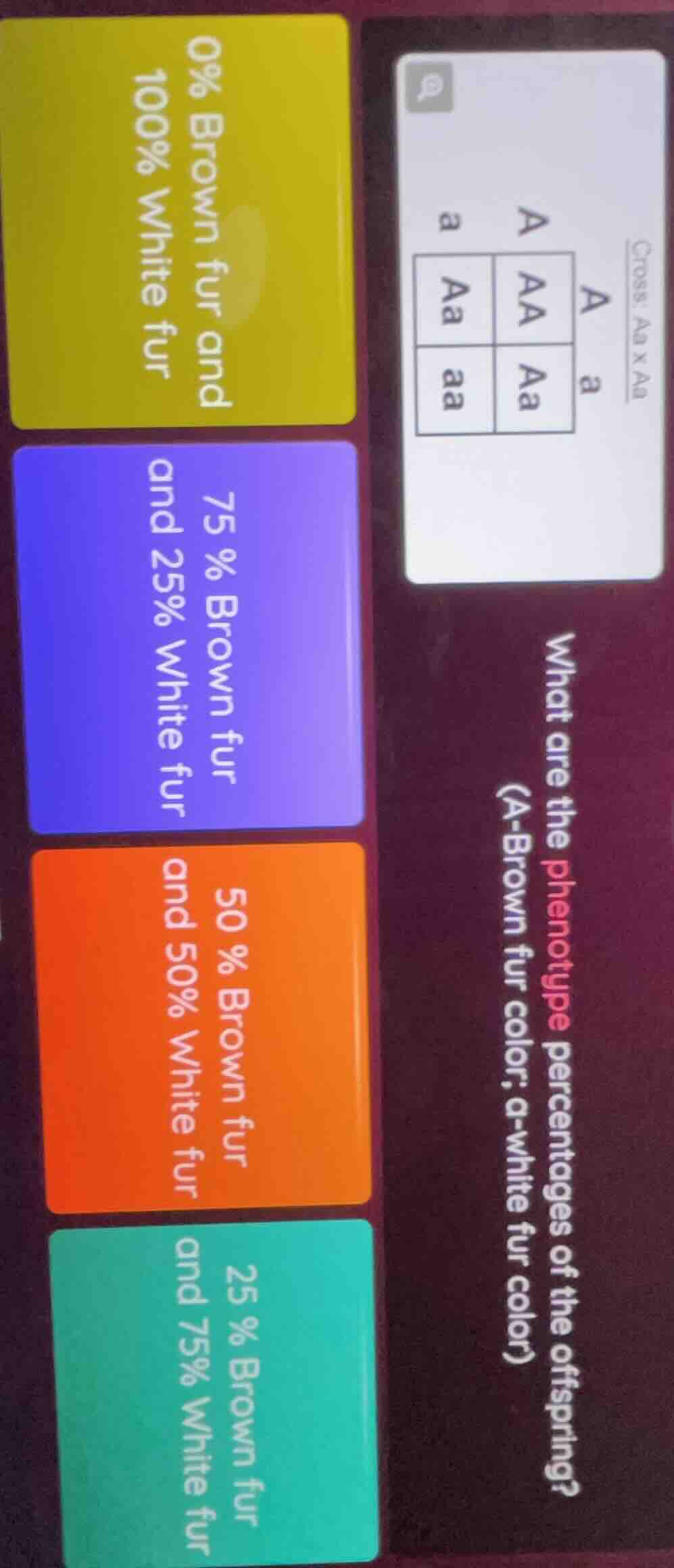 cross: aa × aa what are the phenotype percentages of the offspring? (a …