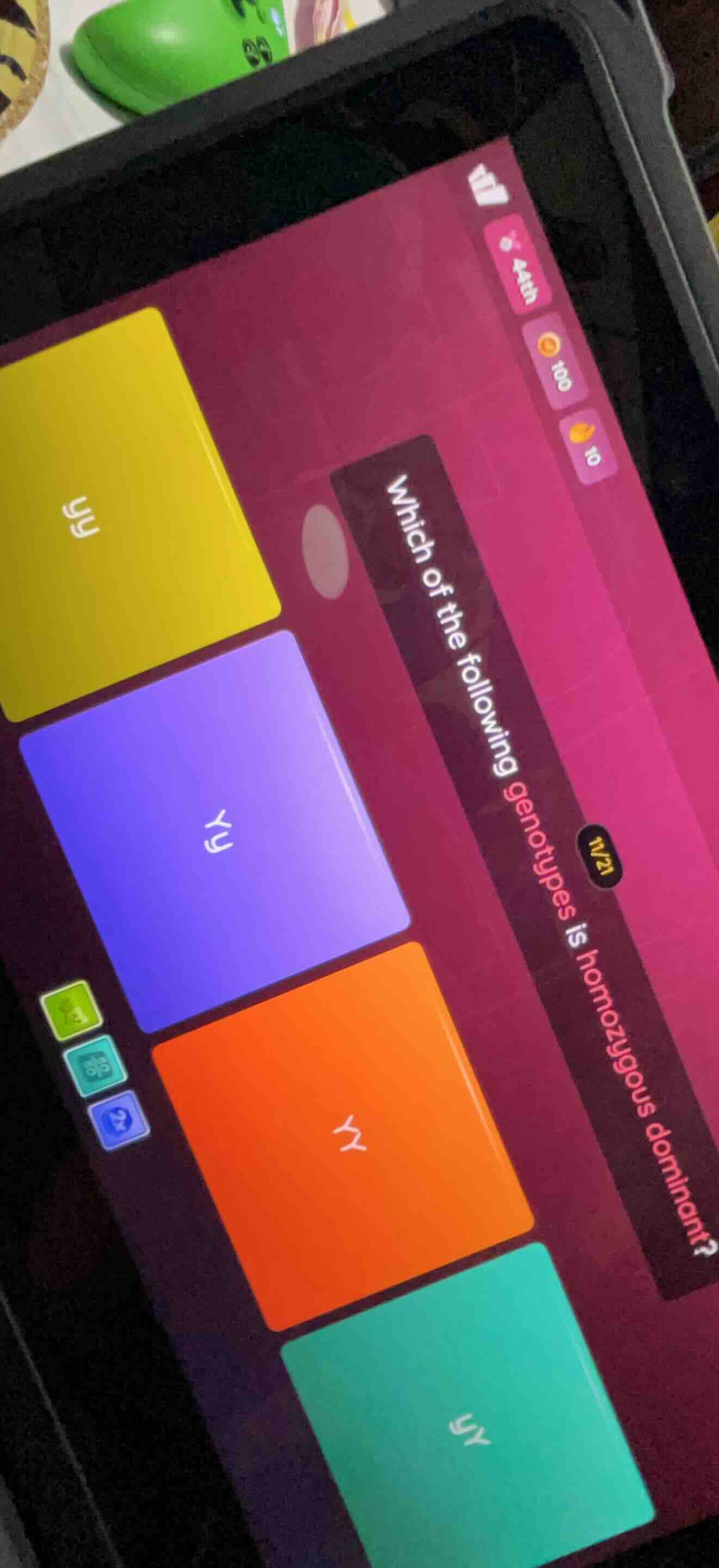 which of the following genotypes is homozygous dominant?