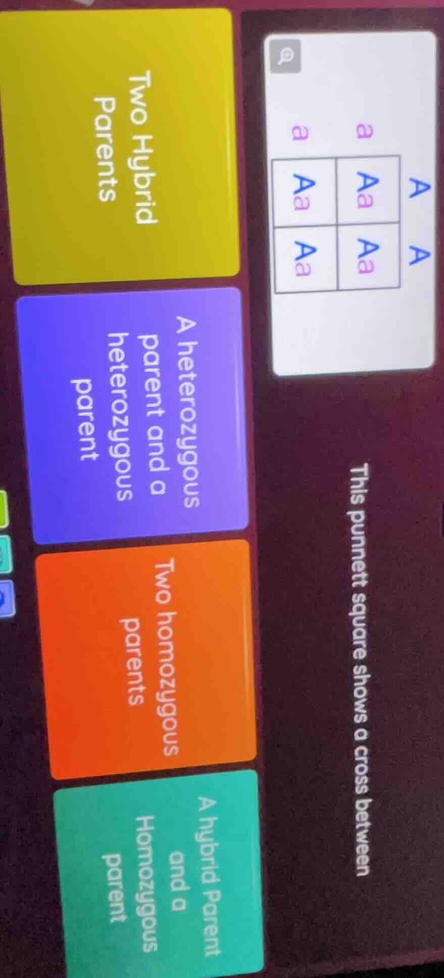 this punnett square shows a cross between two hybrid parents a heterozy…