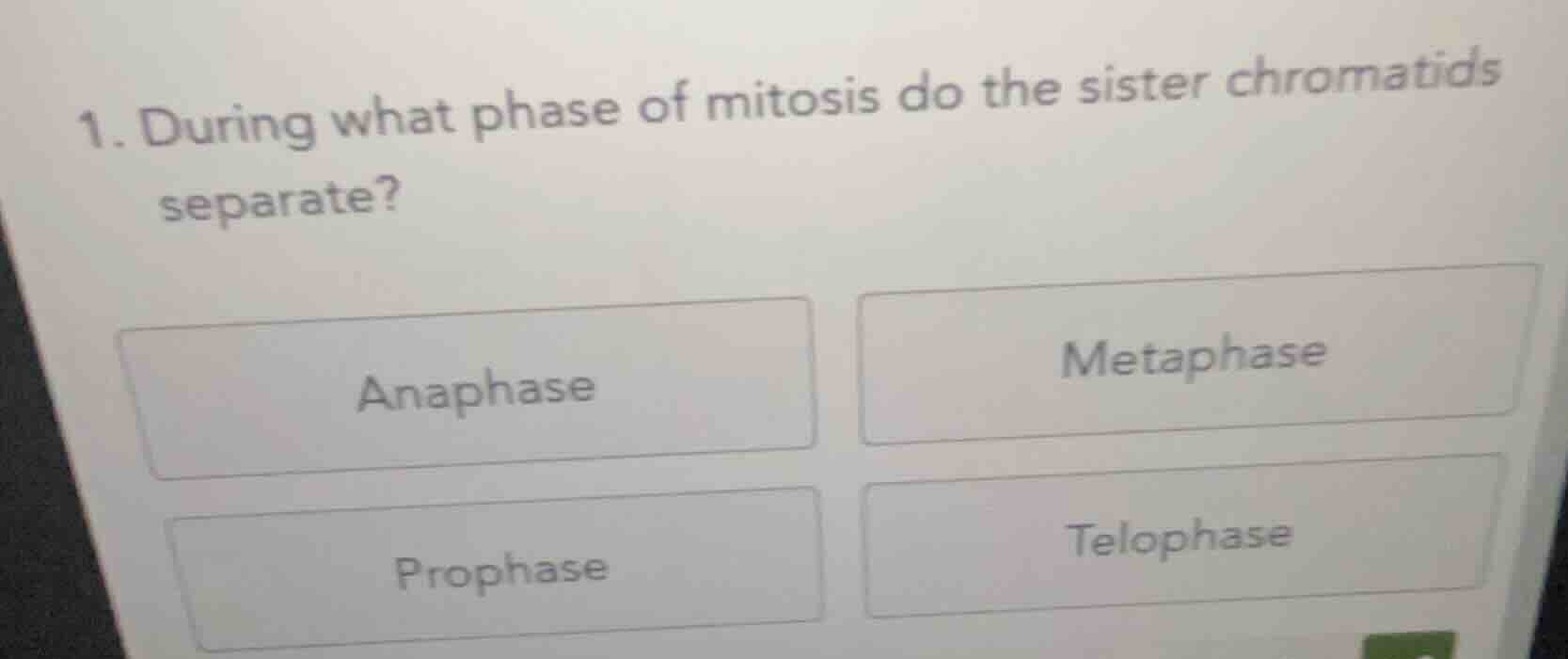 1. during what phase of mitosis do the sister chromatids separate? anap…