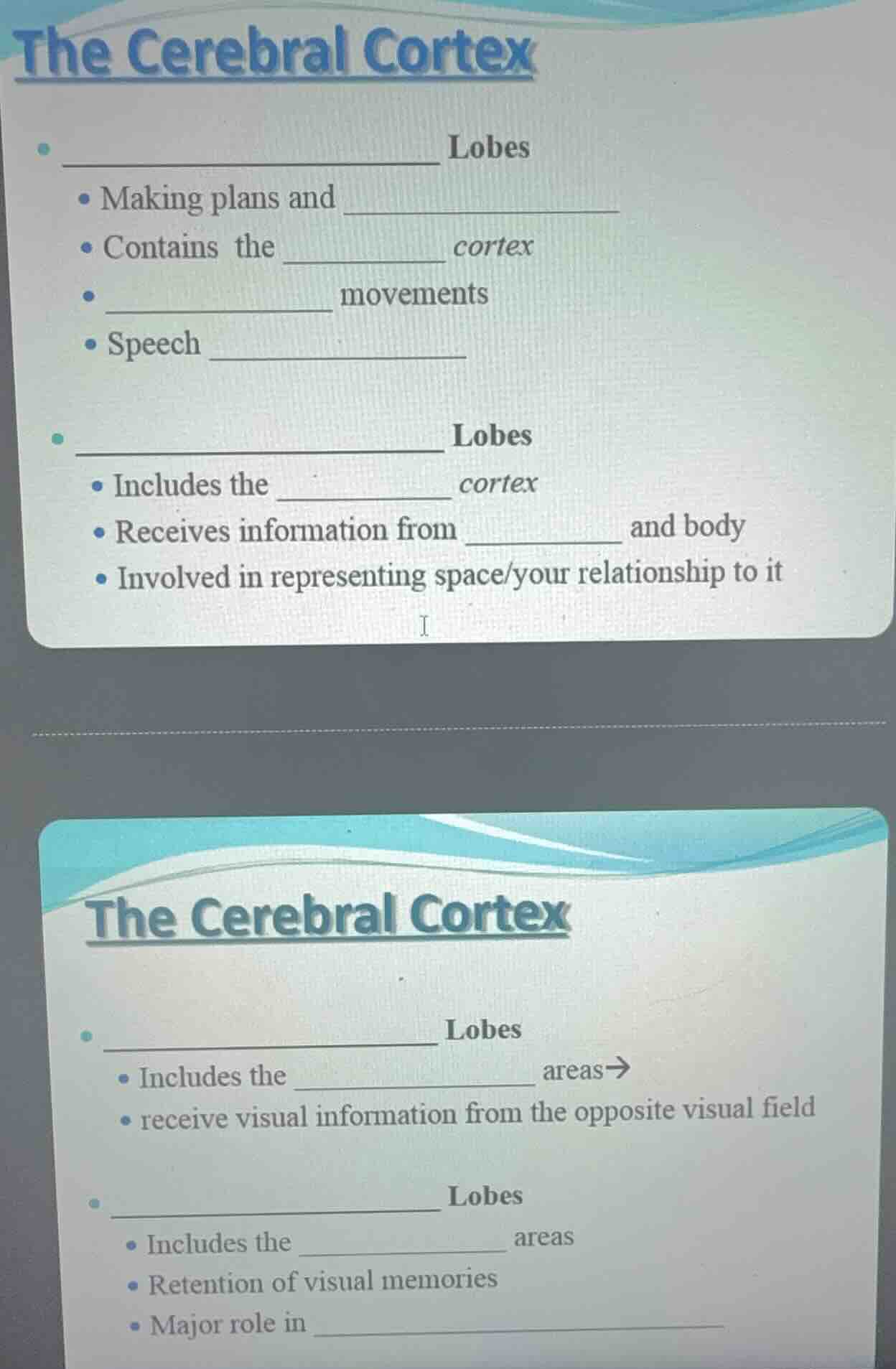the cerebral cortex • ___________________ lobes • making plans and ____…