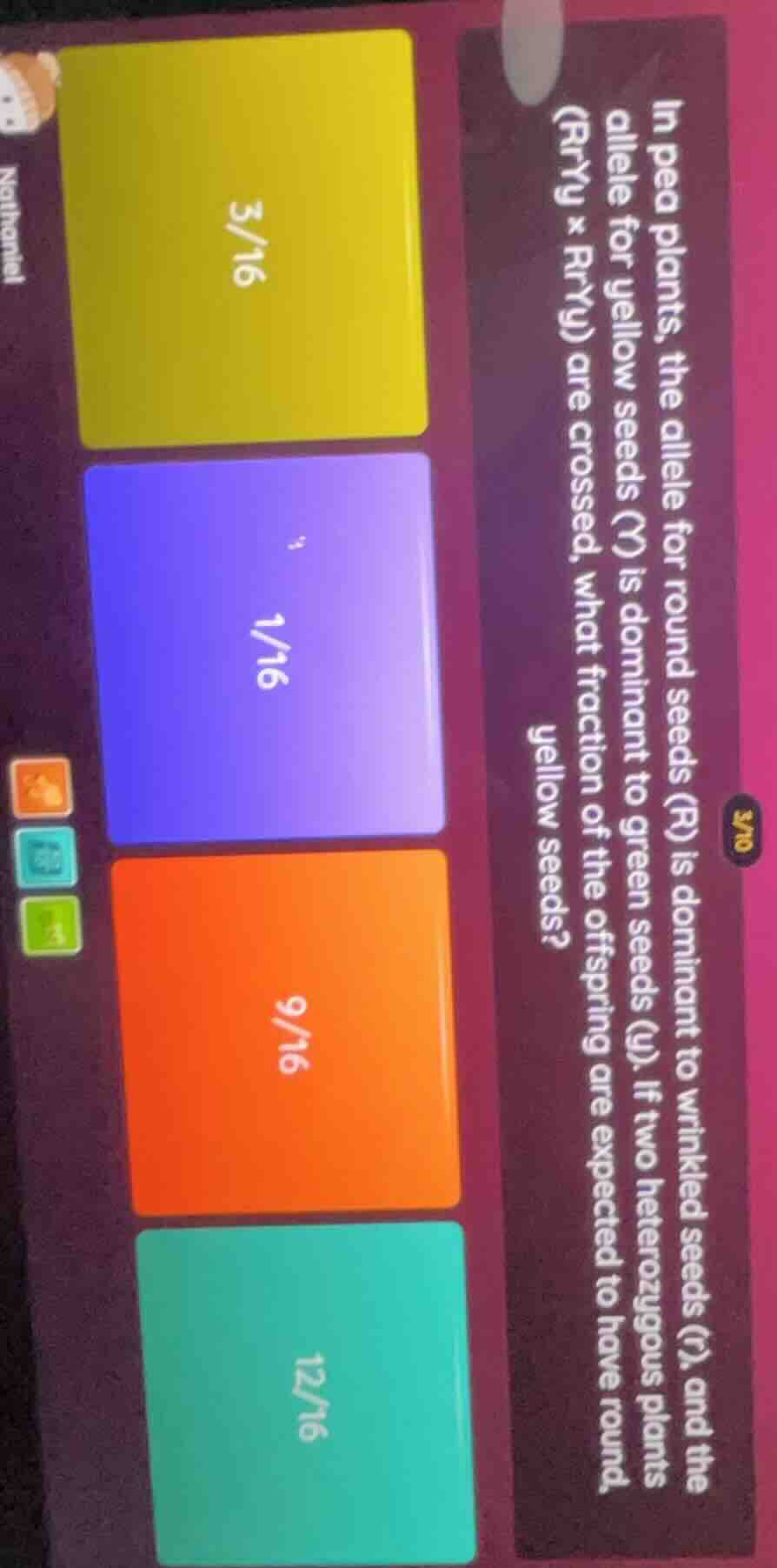 in pea plants, the allele for round seeds (r) is dominant to wrinkled s…