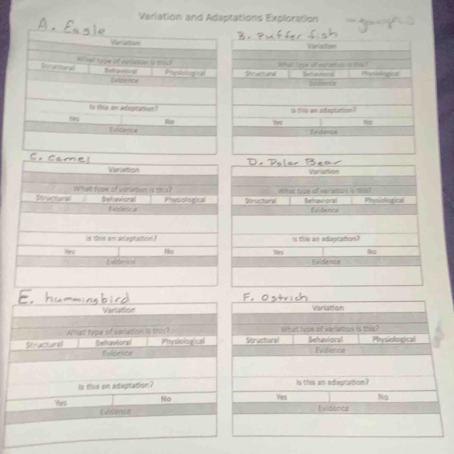 variation and adaptations exploration a. eagle variation what type of v…