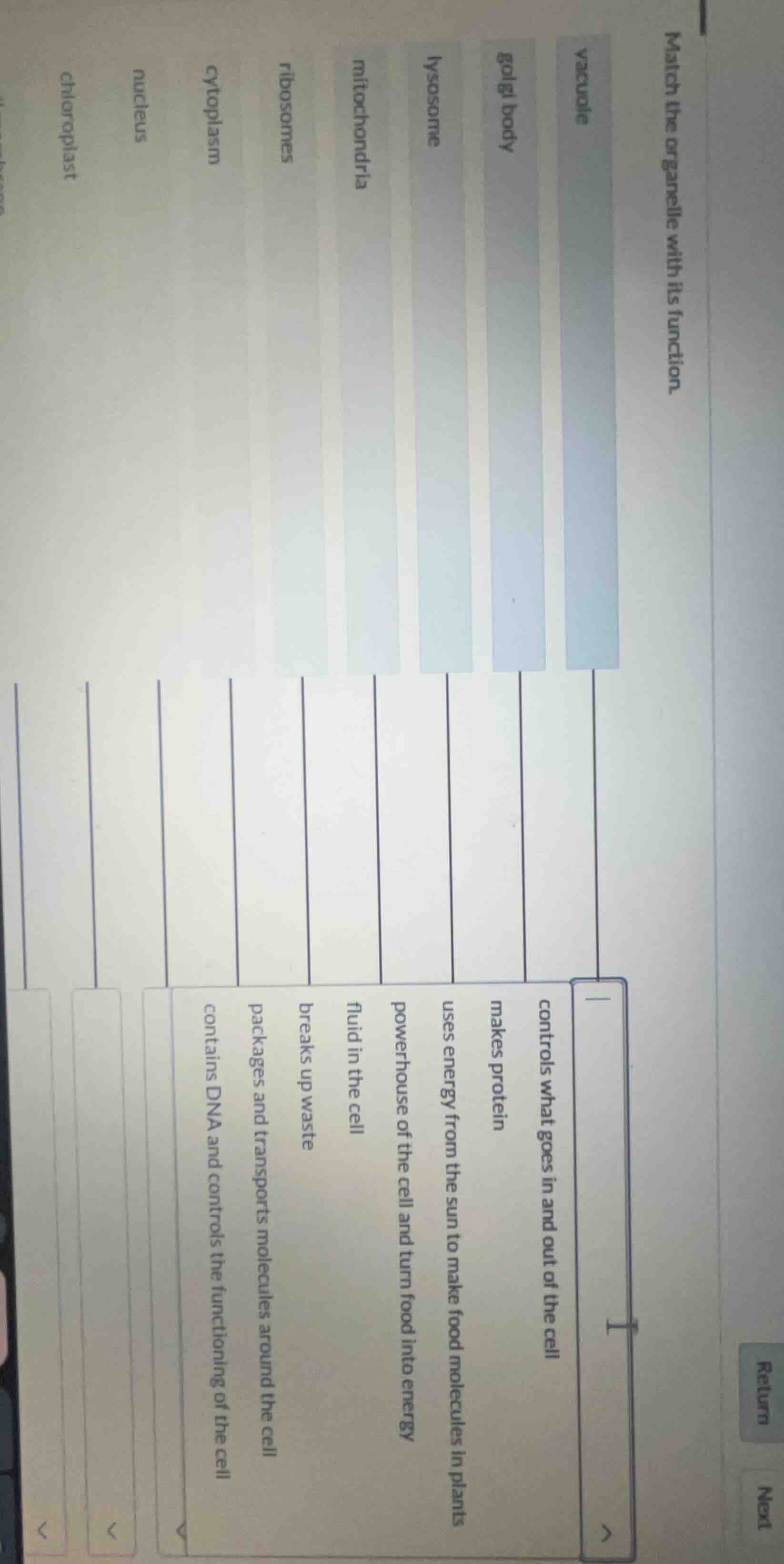 match the organelle with its function. vacuole golgi body lysosome mito…