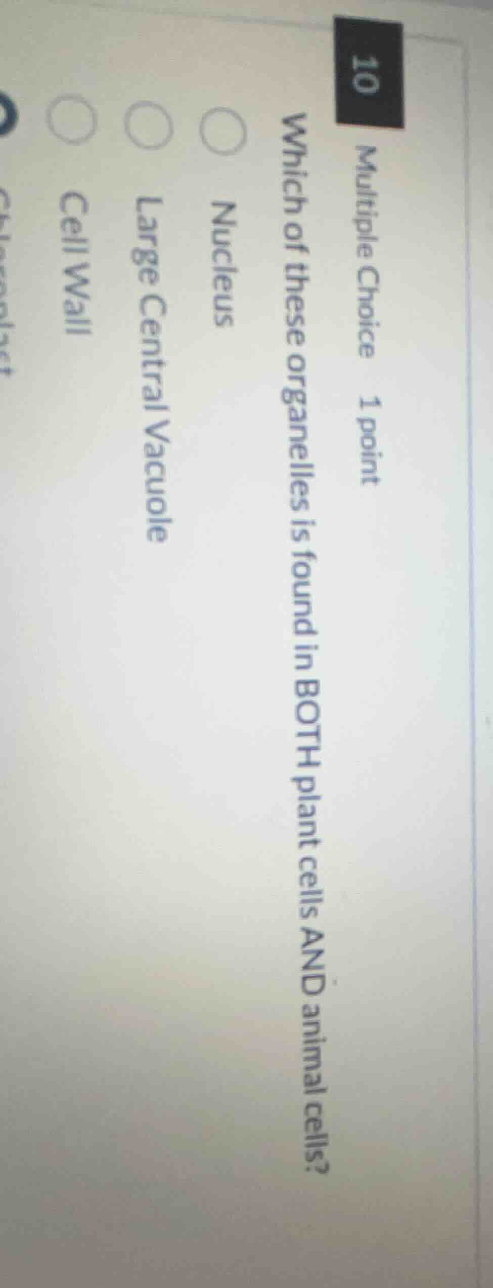 10 multiple choice 1 point which of these organelles is found in both p…