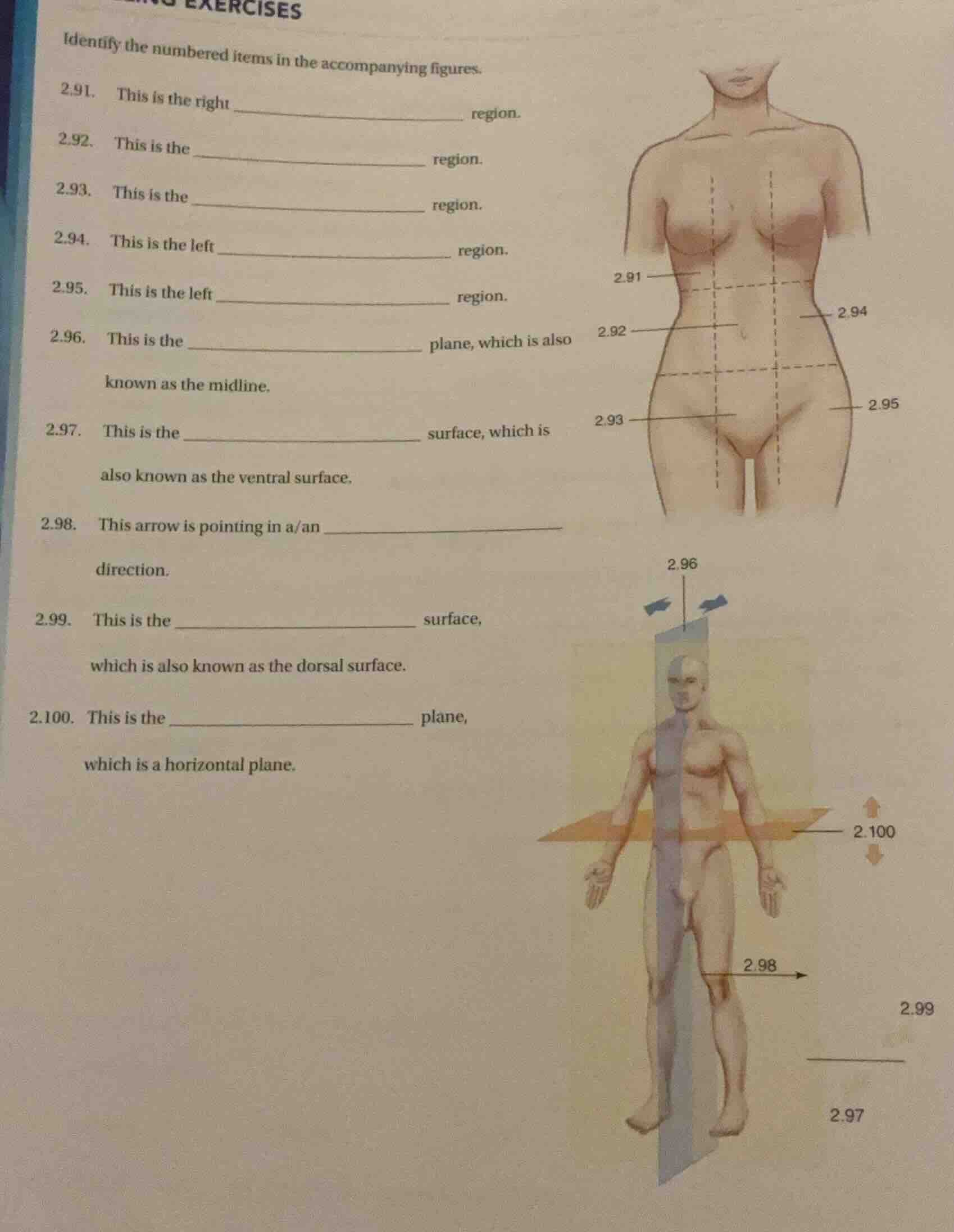 exercises identify the numbered items in the accompanying figures. 2.91…