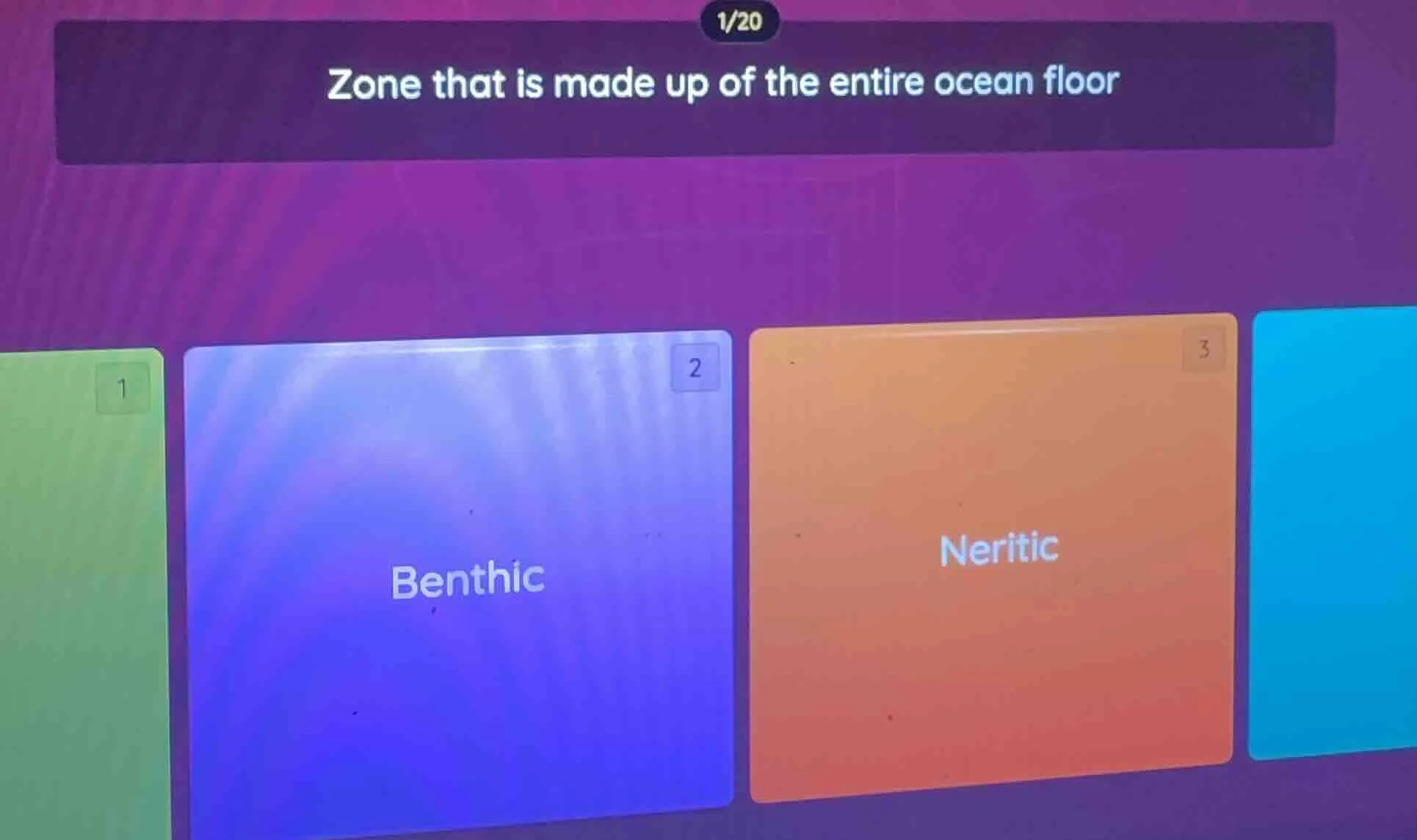 zone that is made up of the entire ocean floor; benthic; neritic
