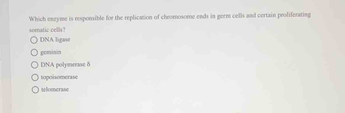 which enzyme is responsible for the replication of chromosome ends in g…
