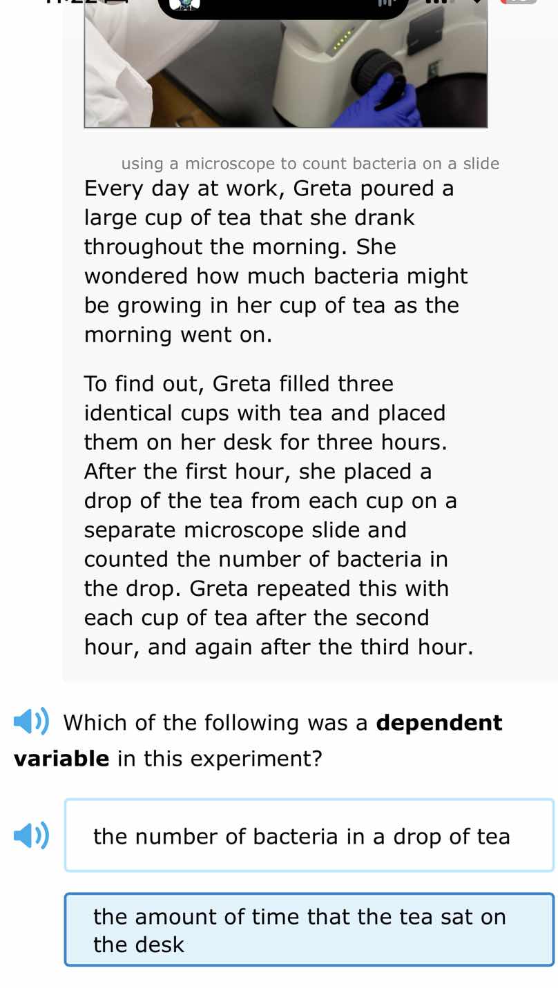 using a microscope to count bacteria on a slide every day at work, gret…
