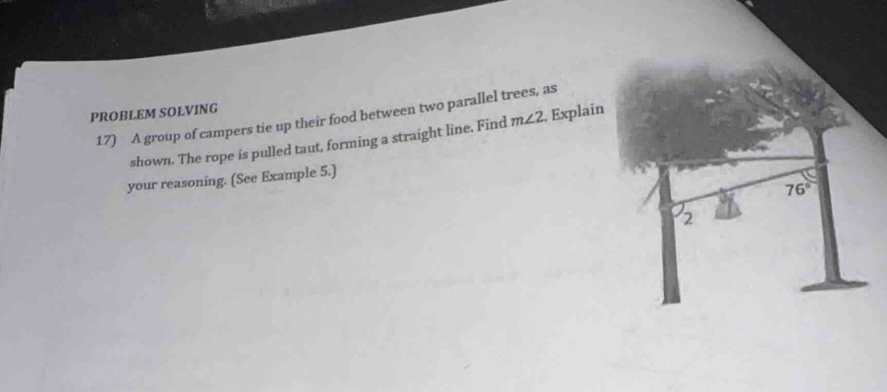 problem solving 17) a group of campers tie up their food between two pa…