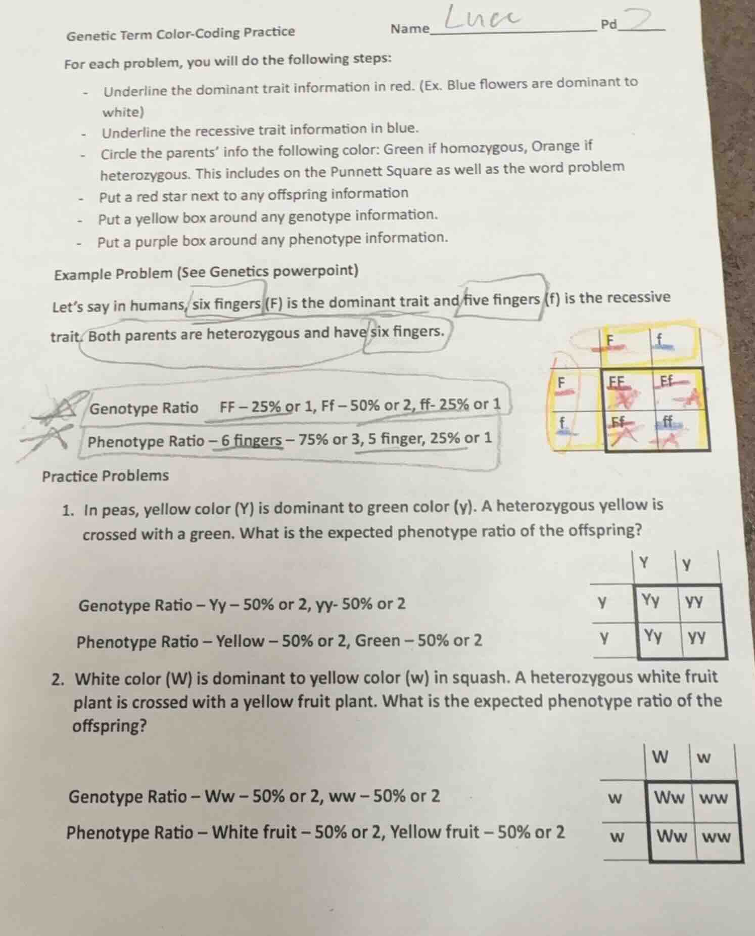 genetic term color-coding practice name______ pd____ for each problem, …