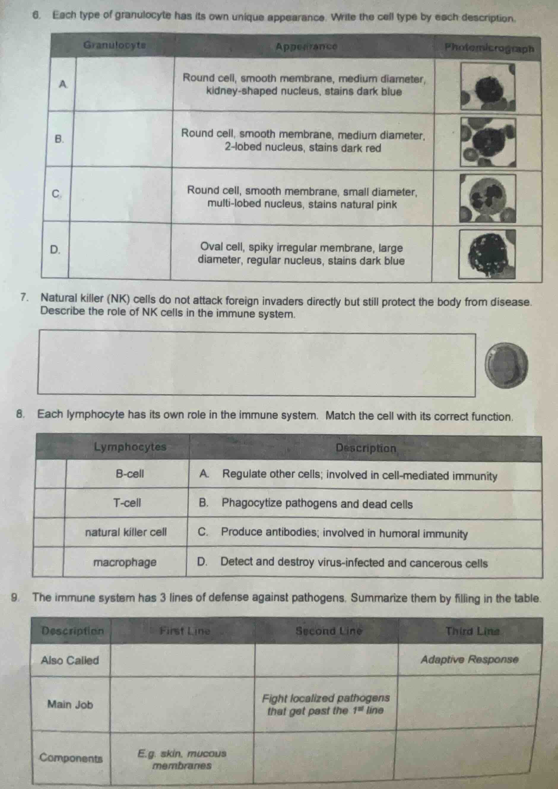6. each type of granulocyte has its own unique appearance. write the ce…