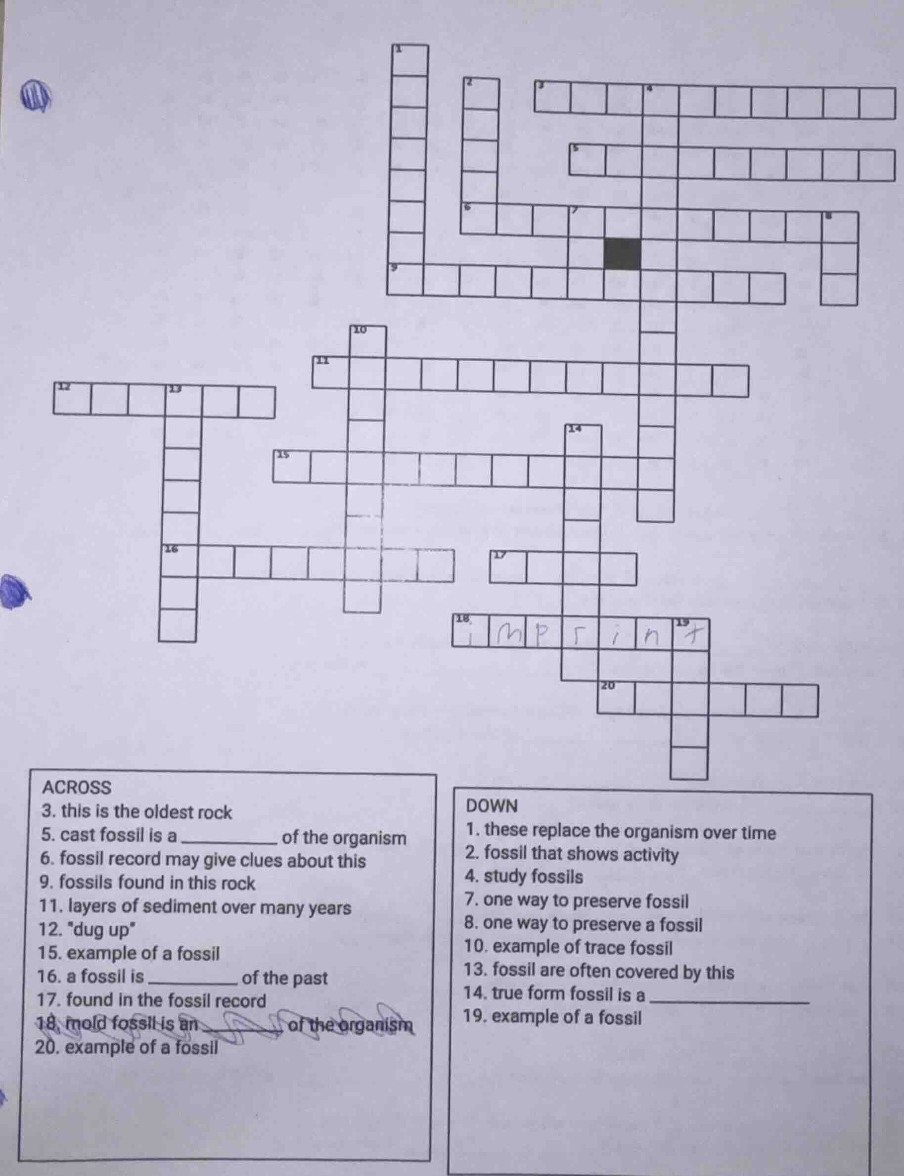 across 3. this is the oldest rock 5. cast fossil is a ________ of the o…