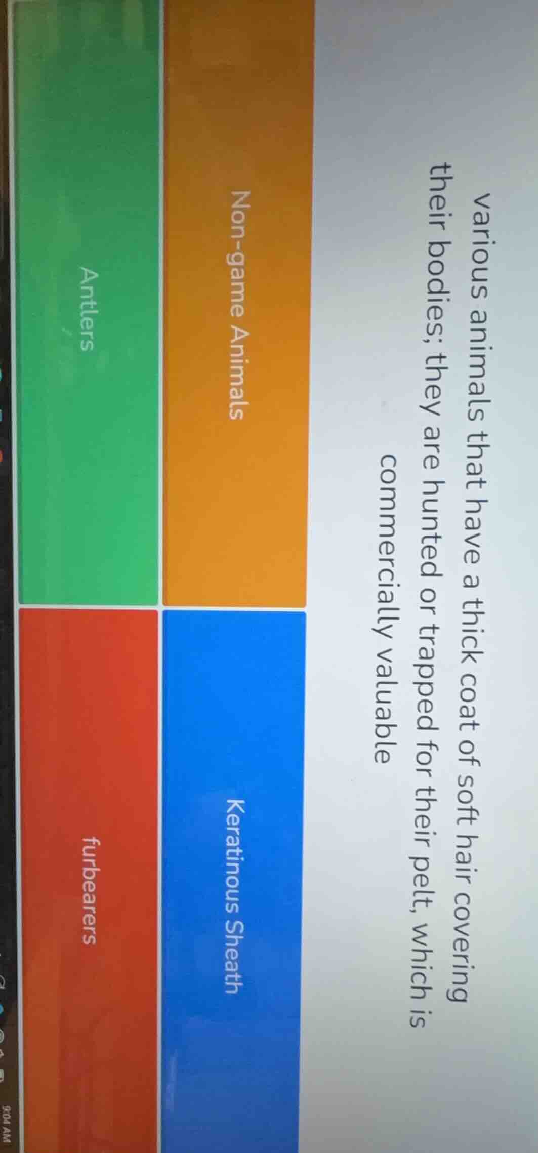 various animals that have a thick coat of soft hair covering their bodi…