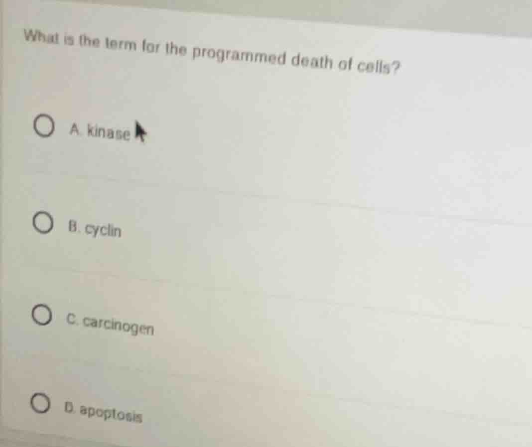 what is the term for the programmed death of cells? a. kinase b. cyclin…