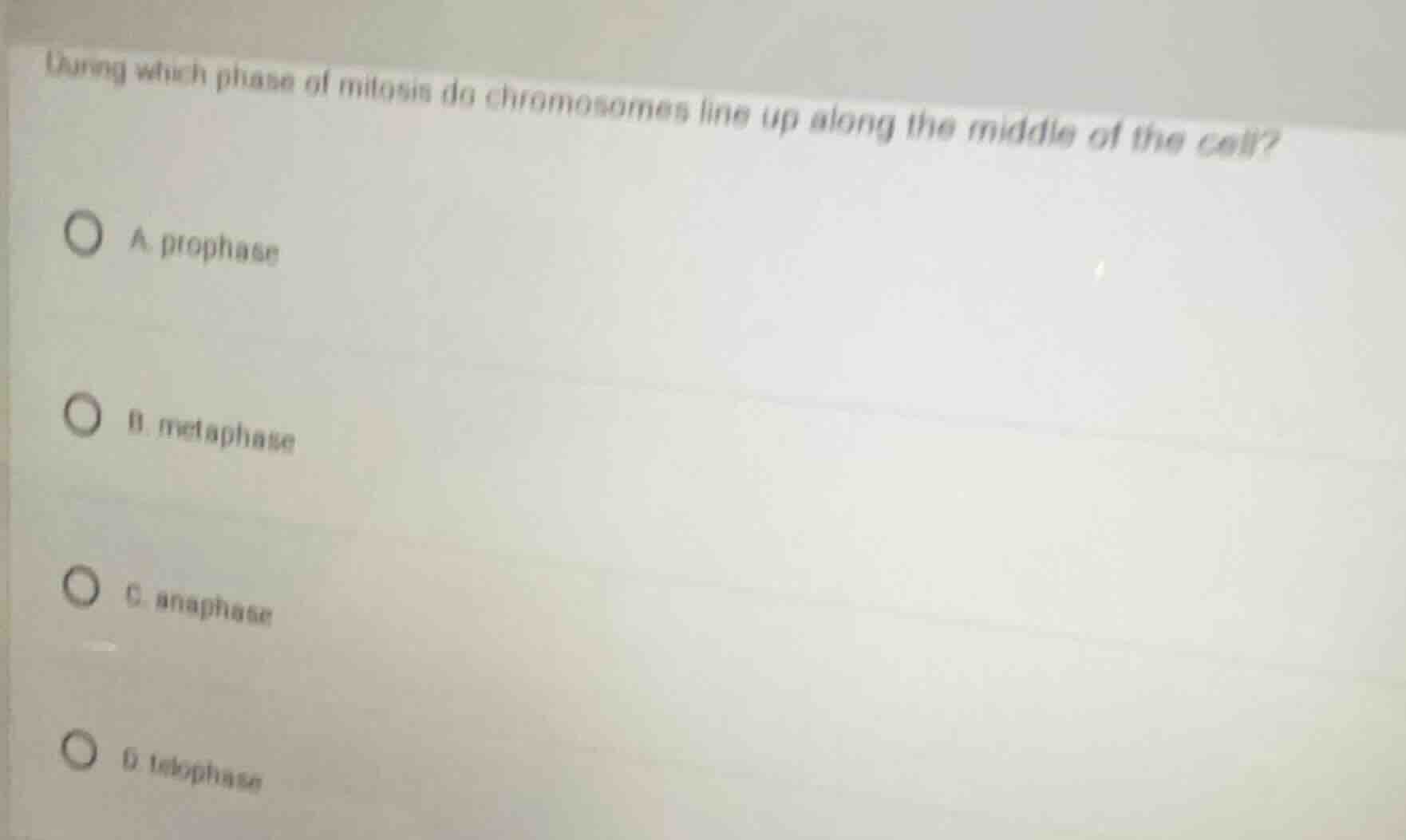 during which phase of mitosis do chromosomes line up along the middle o…