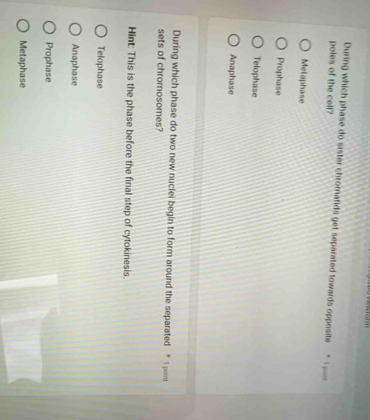 during which phase do sister chromatids get separated towards opposite …