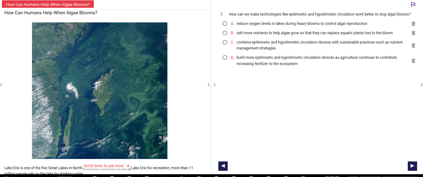 how can humans help when algae blooms? how can humans help when algae b…