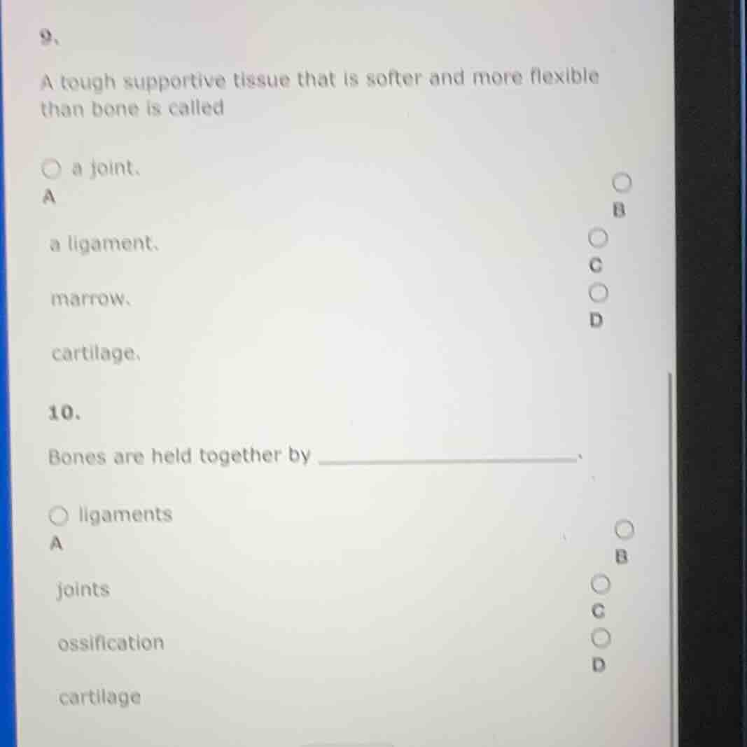 9、 a tough supportive tissue that is softer and more flexible than bone…