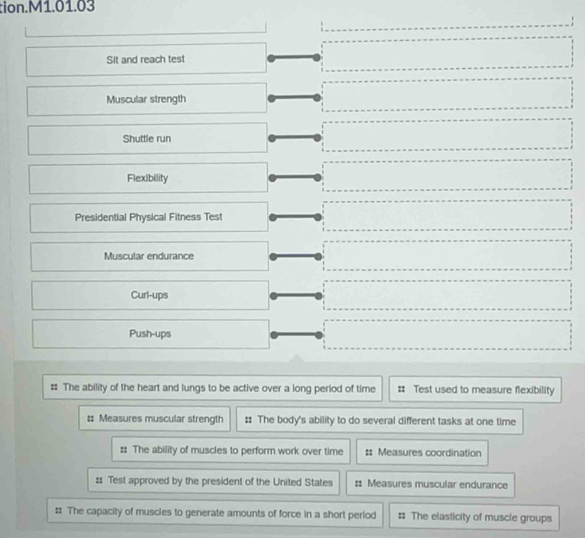 sit and reach test muscular strength shuttle run flexibility presidenti…
