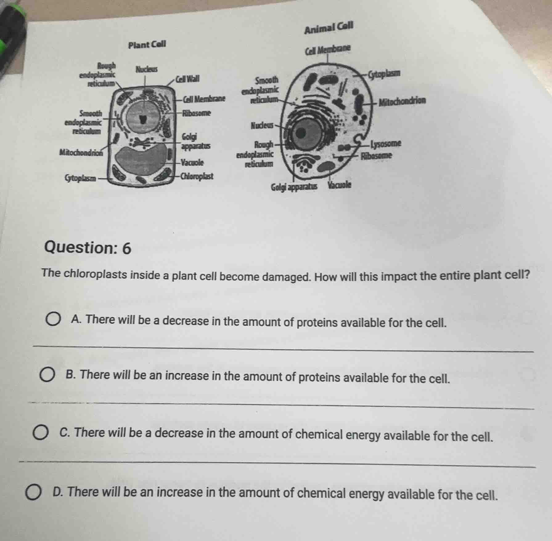 question: 6 the chloroplasts inside a plant cell become damaged. how wi…