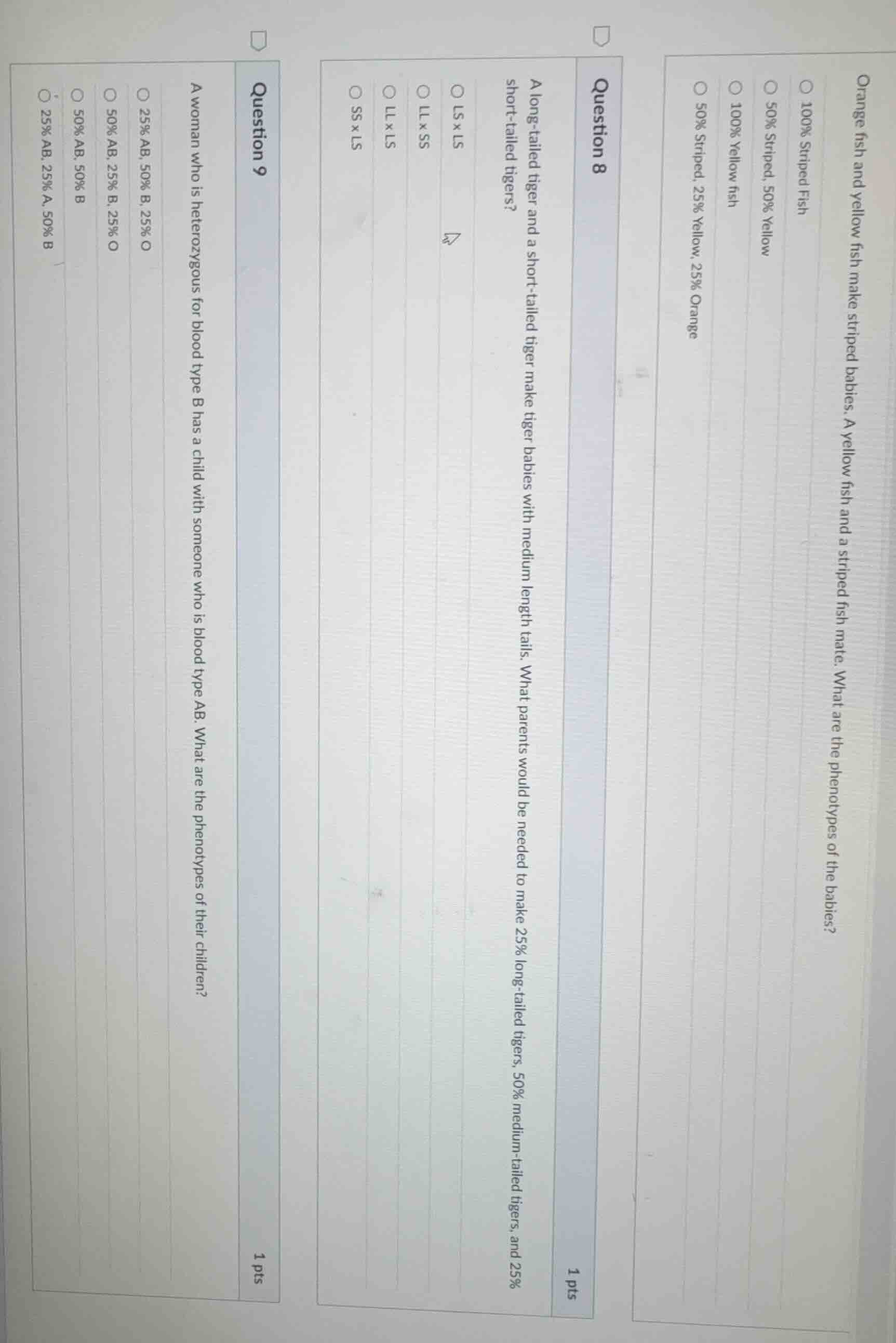 orange fish and yellow fish make striped babies. a yellow fish and a st…