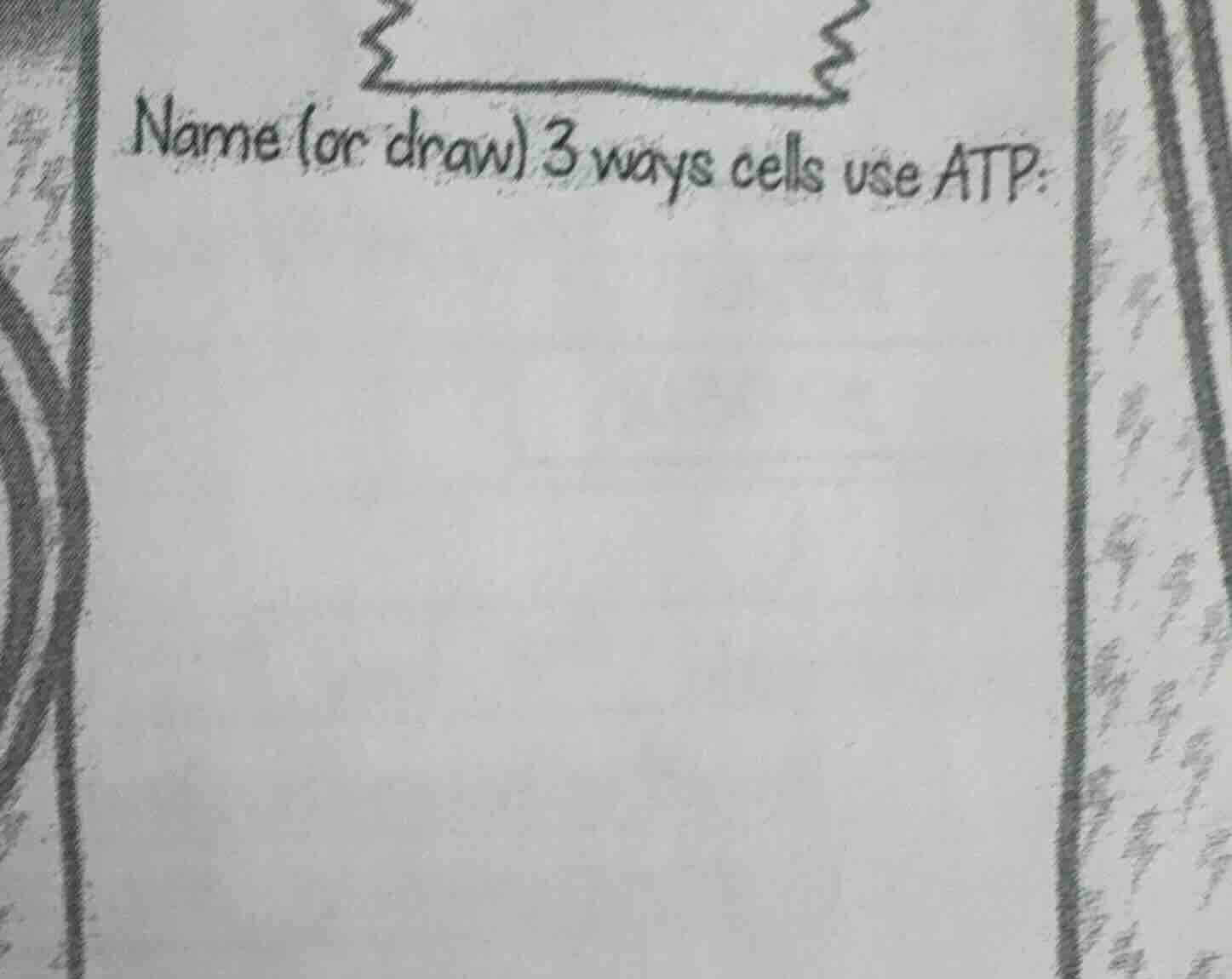name (or draw) 3 ways cells use atp: