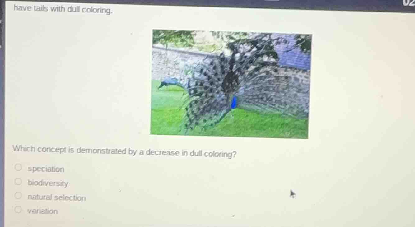 have tails with dull coloring. which concept is demonstrated by a decre…