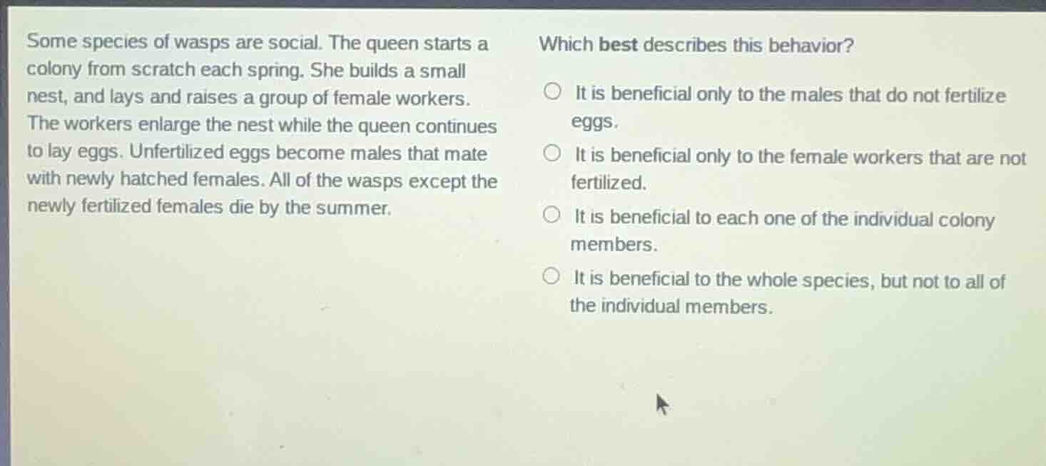 some species of wasps are social. the queen starts a colony from scratc…