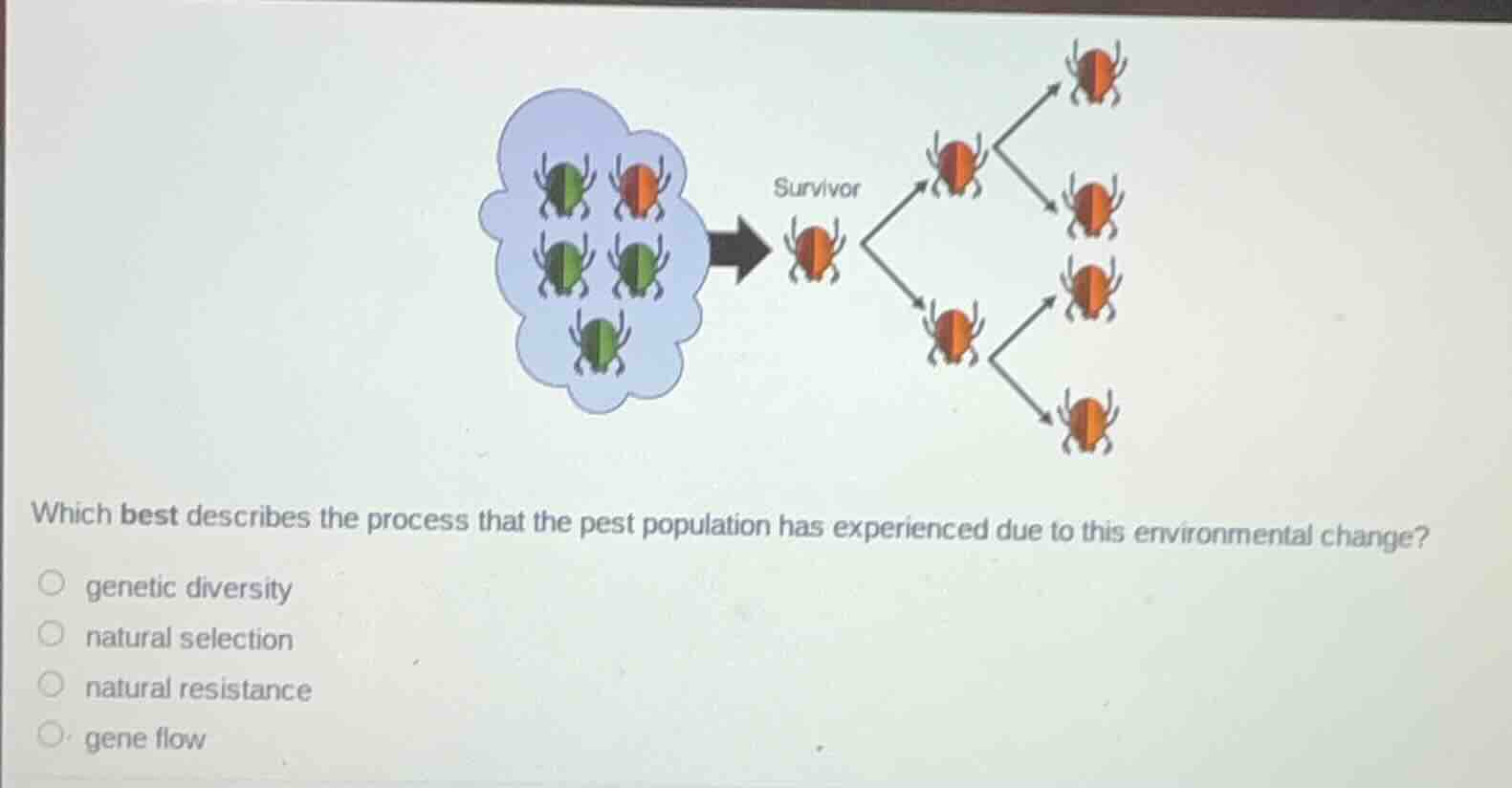 which best describes the process that the pest population has experienc…