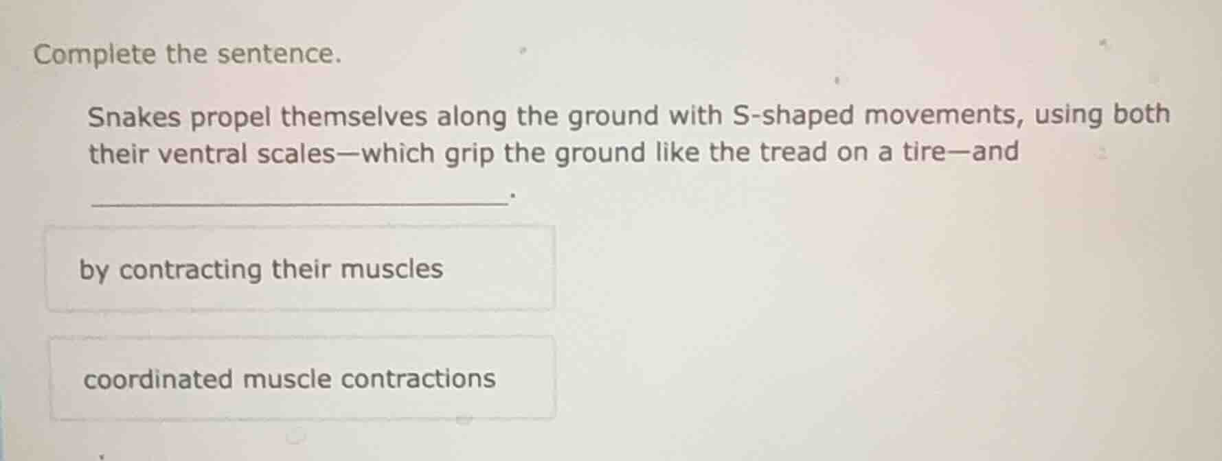 complete the sentence. snakes propel themselves along the ground with s…