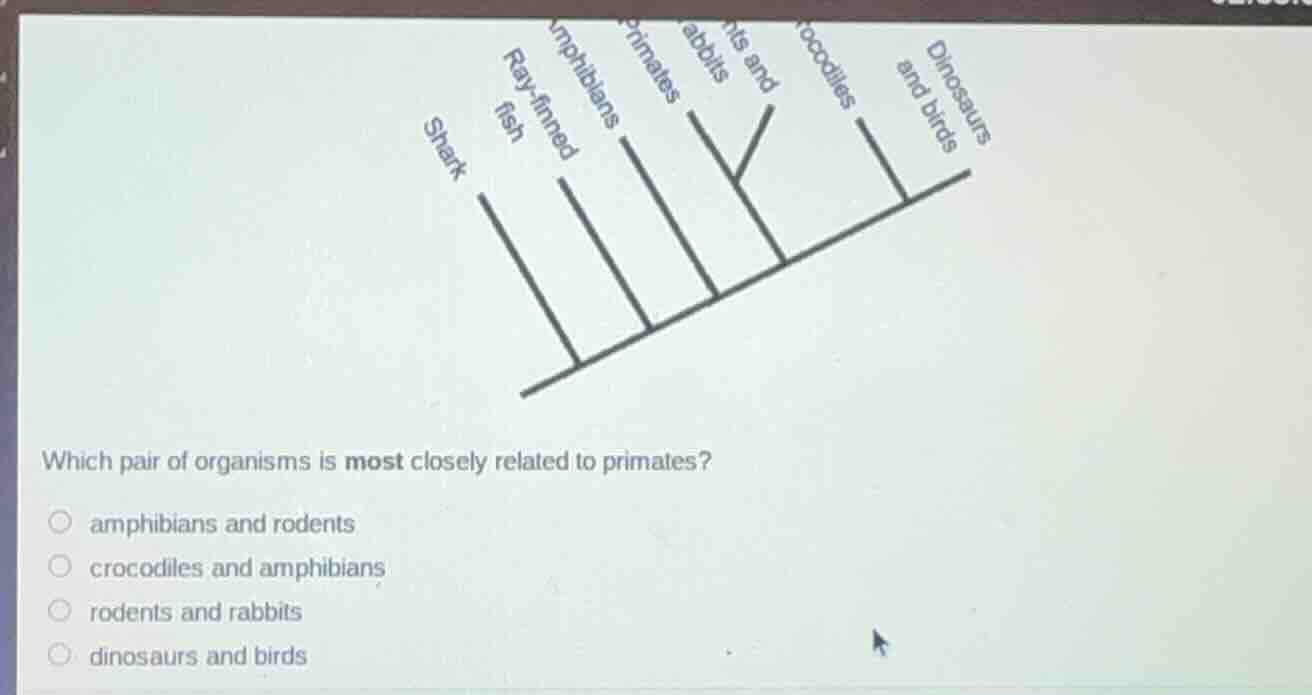which pair of organisms is most closely related to primates? amphibians…