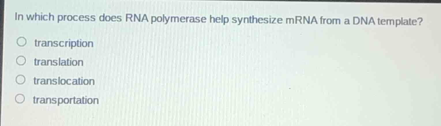in which process does rna polymerase help synthesize mrna from a dna te…