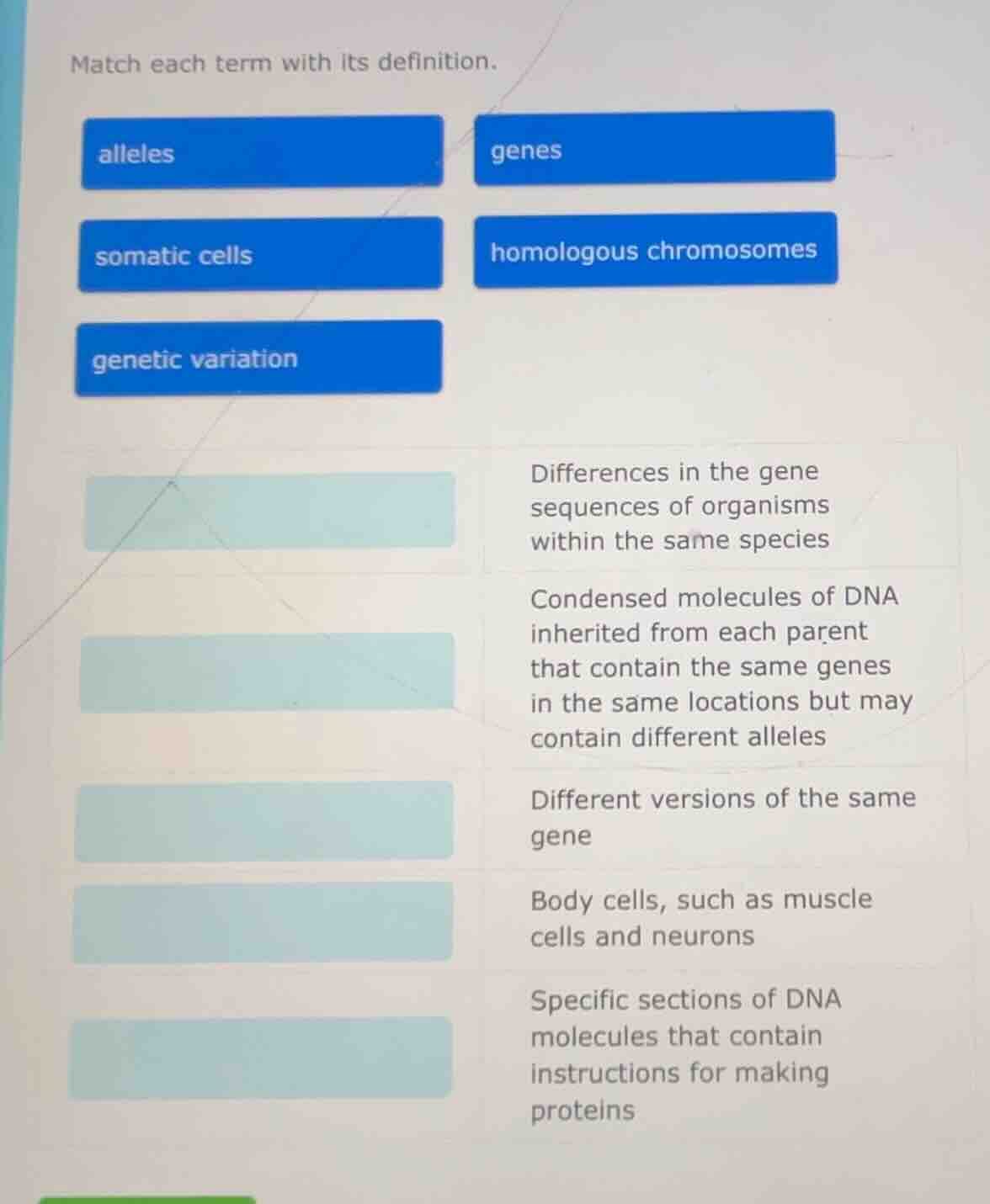 match each term with its definition. alleles genes somatic cells homolo…