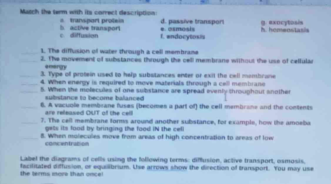 match the term with its correct description: a. transport protein d. pa…