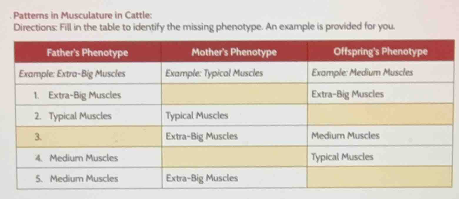 patterns in musculature in cattle: directions: fill in the table to ide…
