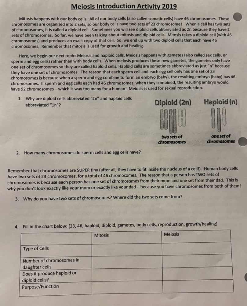 meiosis introduction activity 2019 mitosis happens with our body cells.…