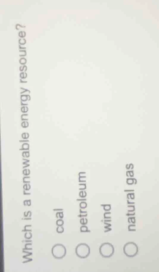 which is a renewable energy resource? coal petroleum wind natural gas