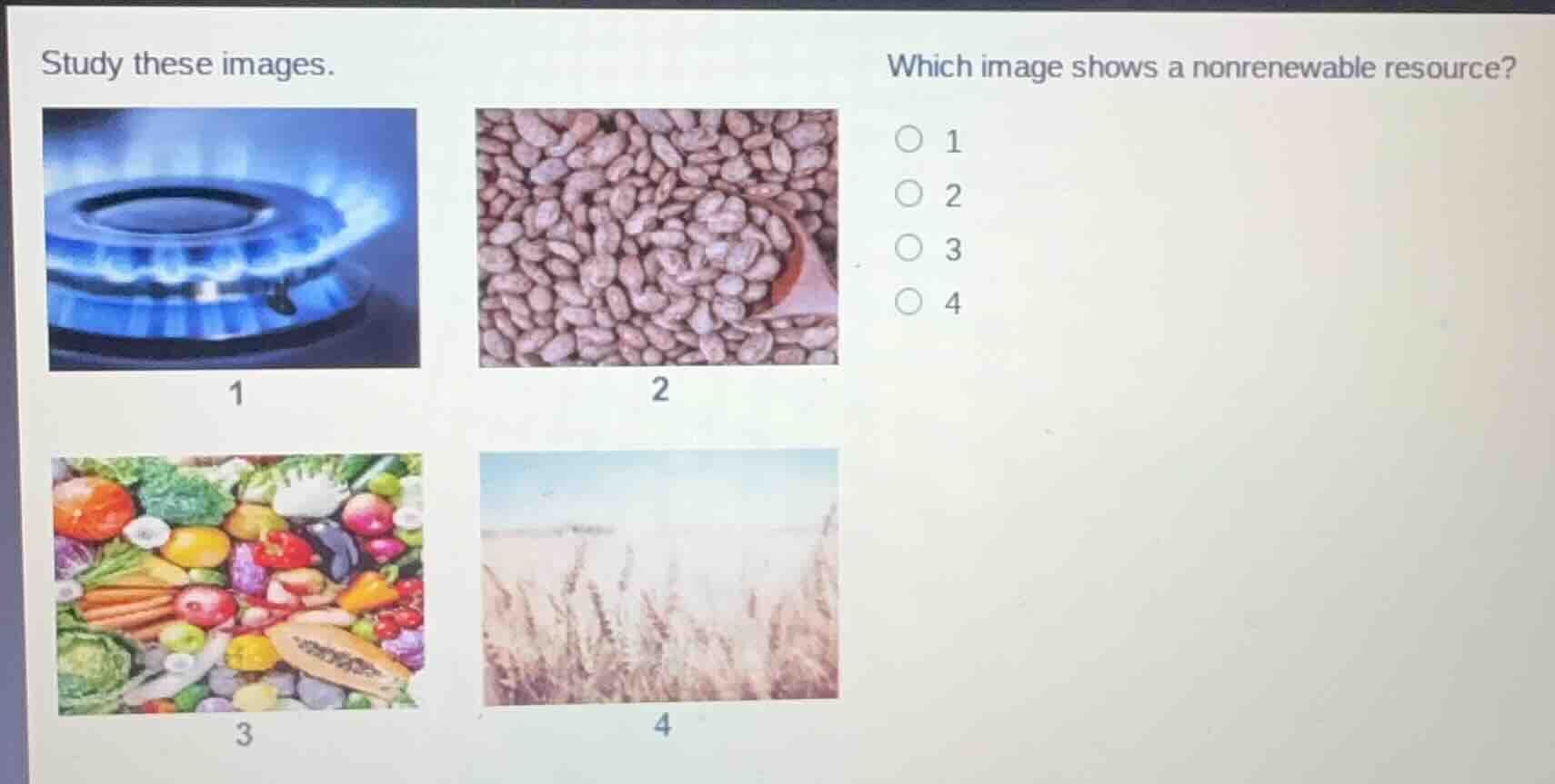 study these images. which image shows a nonrenewable resource? 1 (image…