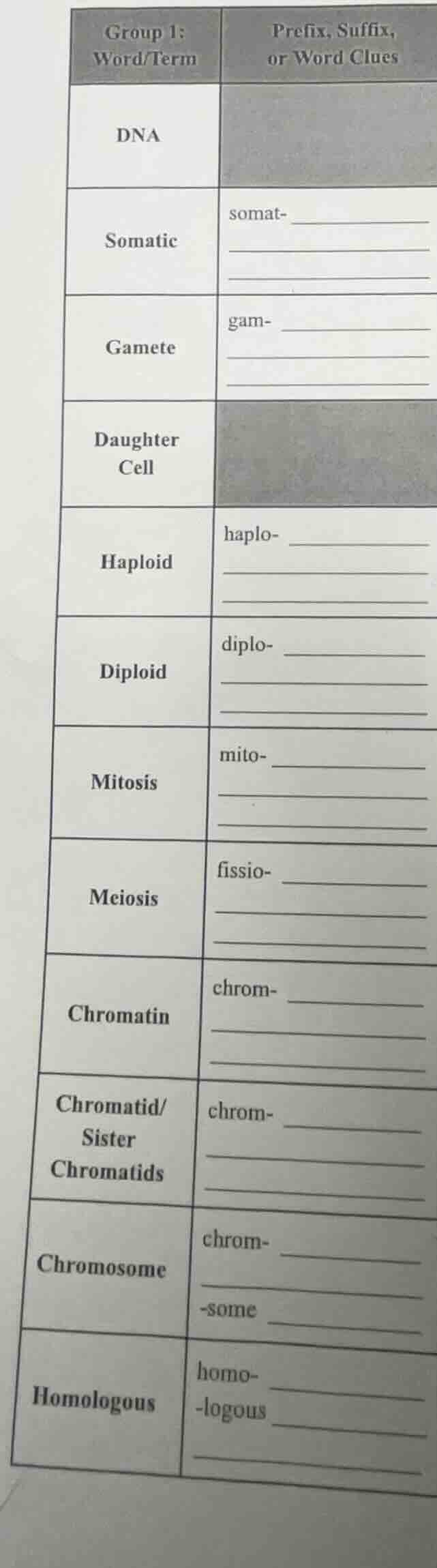 group 1: word/term | prefix, suffix, or word clues dna | somatic | soma…