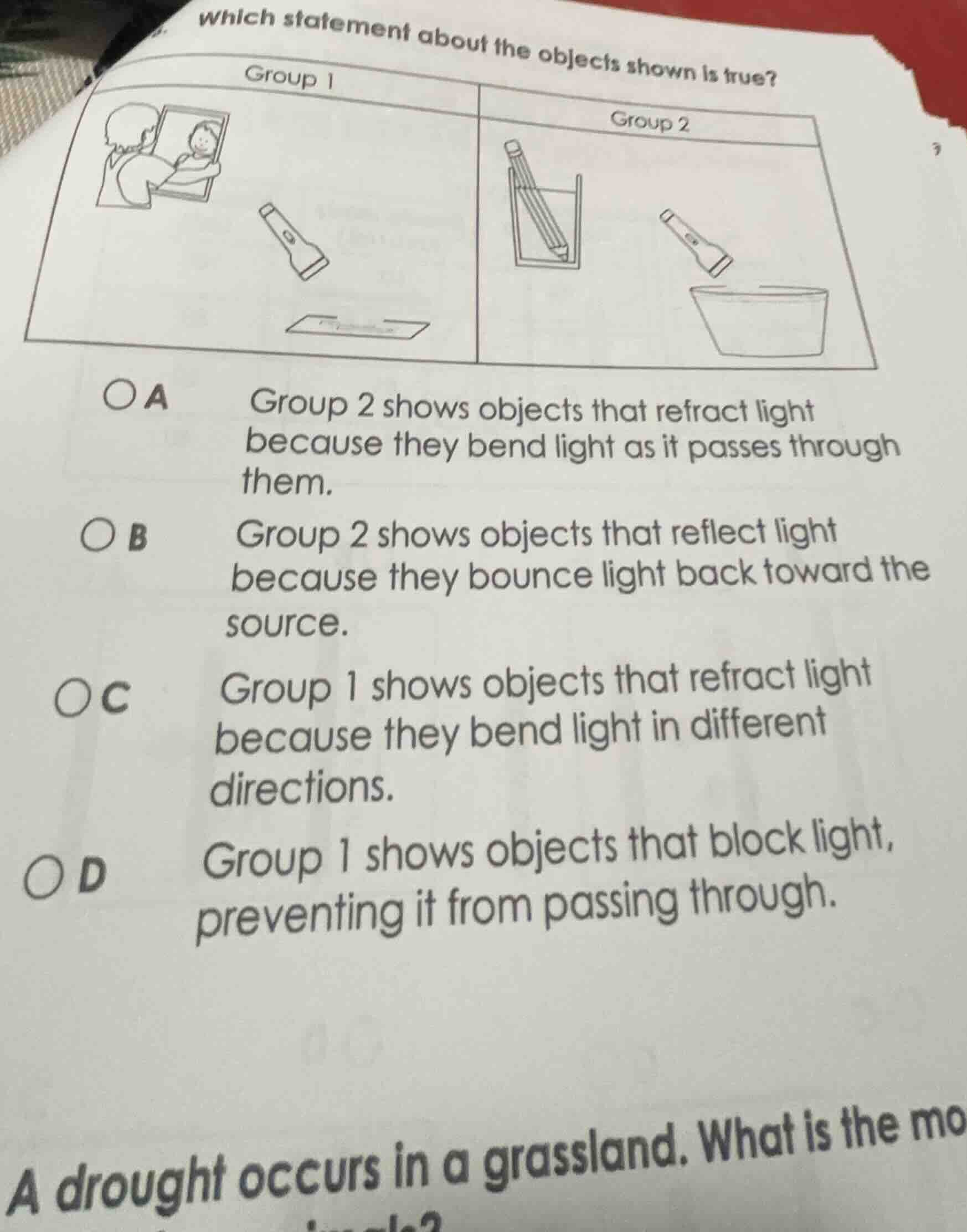 which statement about the objects shown is true? group 1 group 2 a grou…
