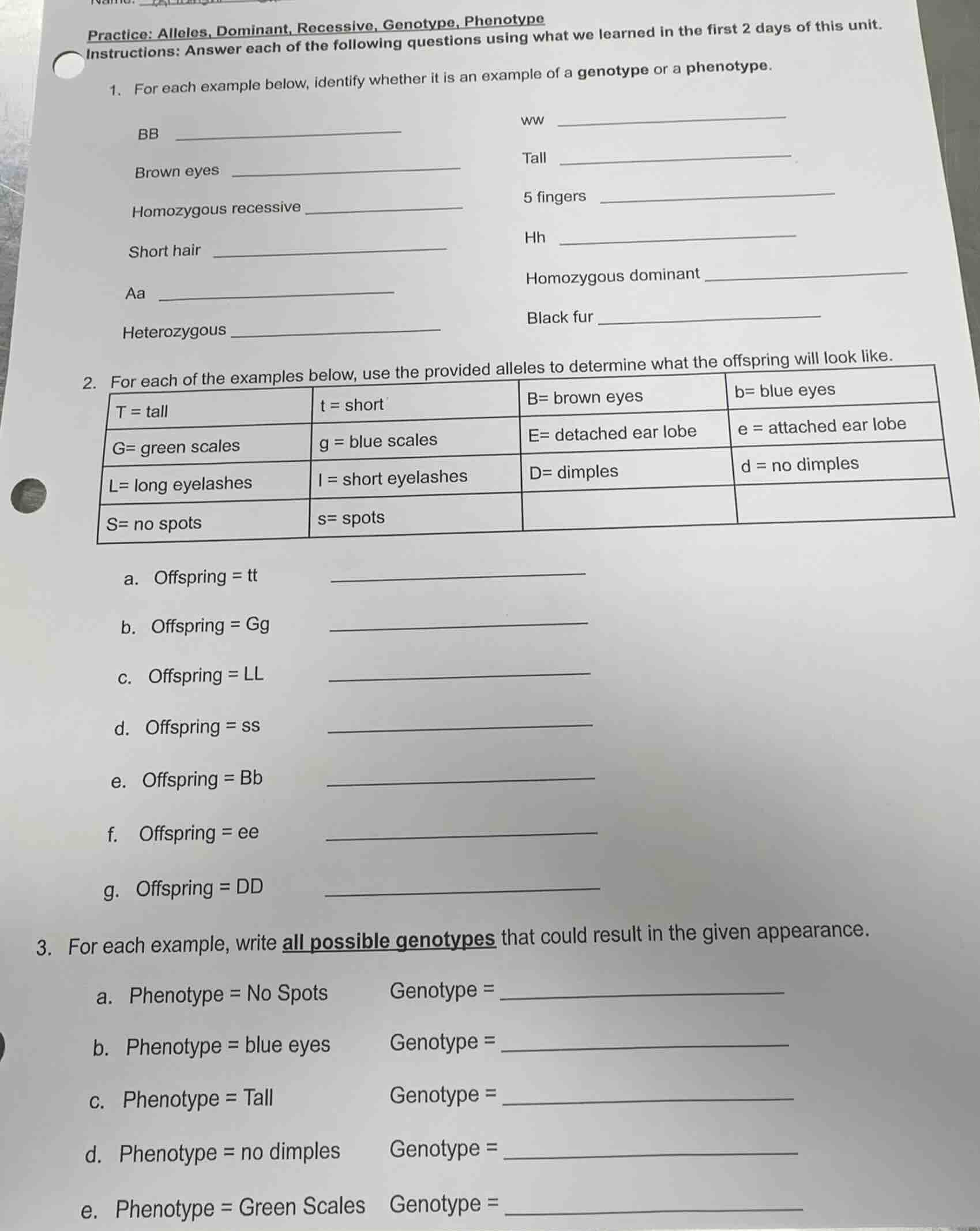 practice: alleles, dominant, recessive, genotype, phenotype instruction…
