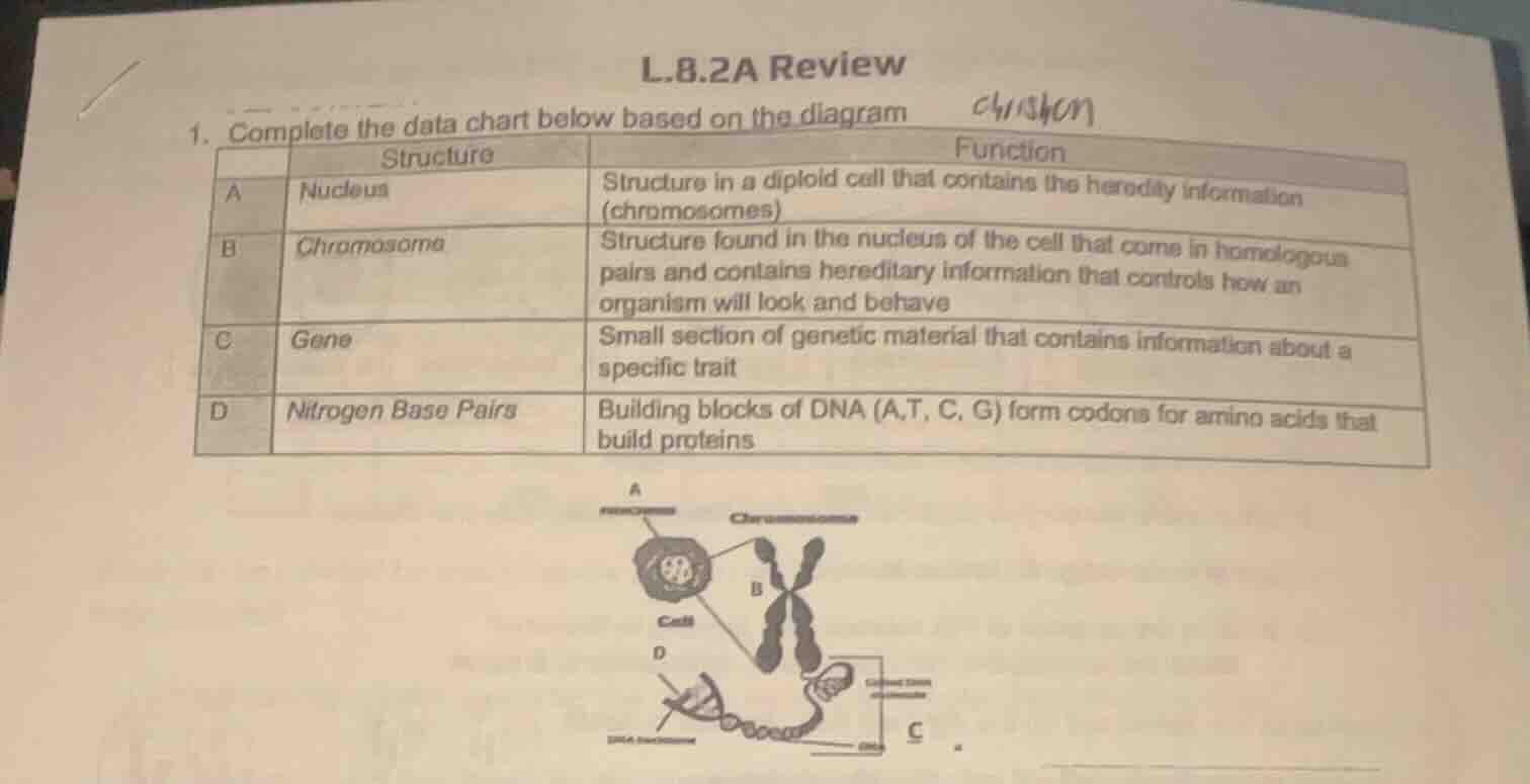 l.8.2a review 1. complete the data chart below based on the diagram | |…