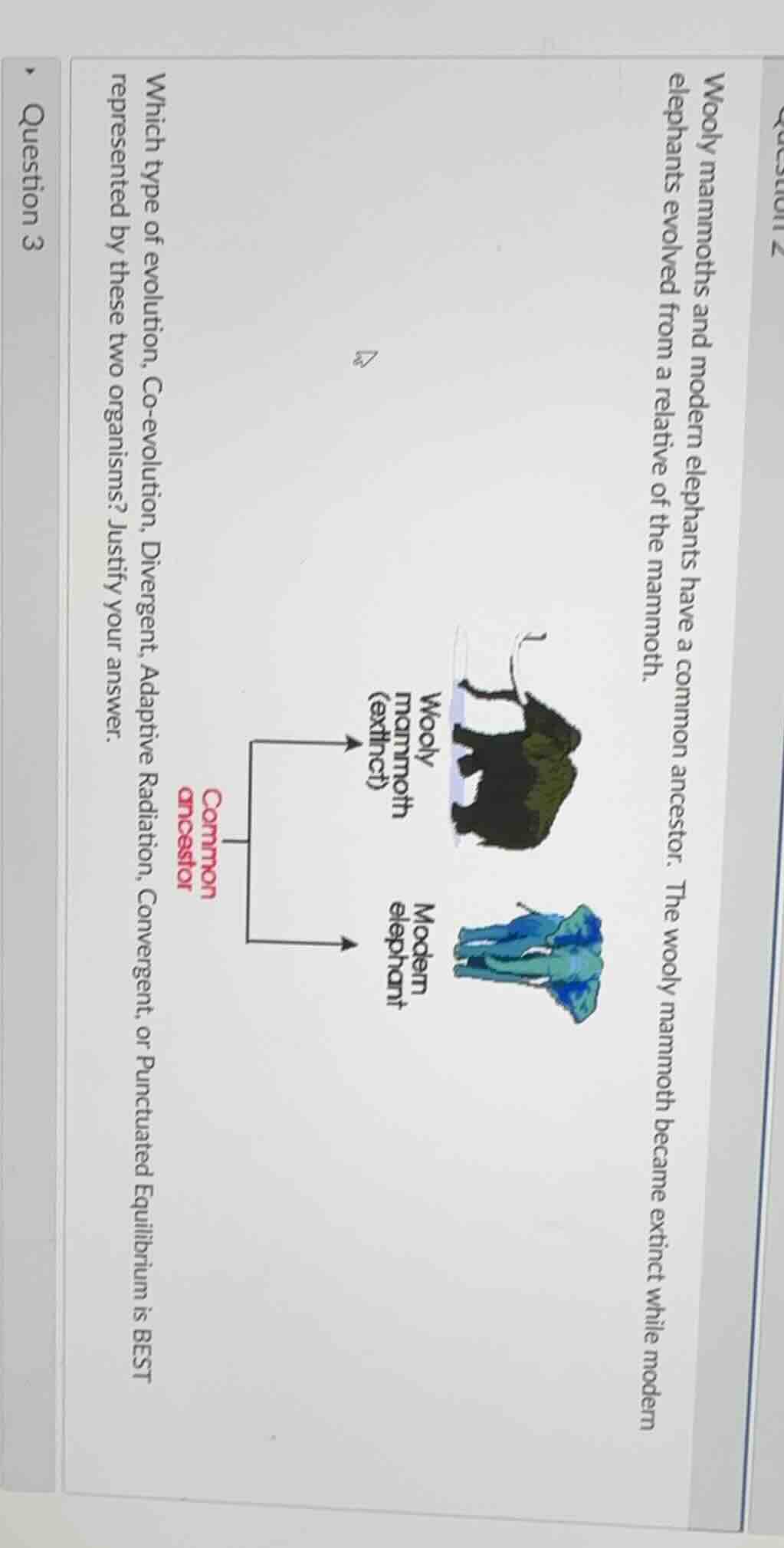 wooly mammoths and modern elephants have a common ancestor. the wooly m…